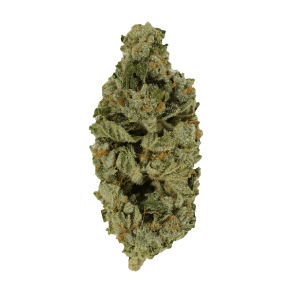 Crazy Glue | Canna Cabana Canada