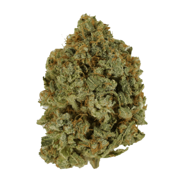 Crazy Glue | Canna Cabana Canada