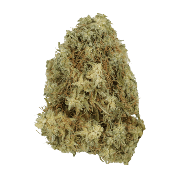 Hawaiian Snow | Canna Cabana Canada
