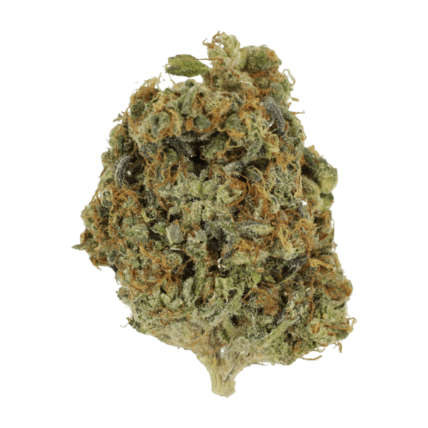 Sunset Sherbert | Canna Cabana Canada
