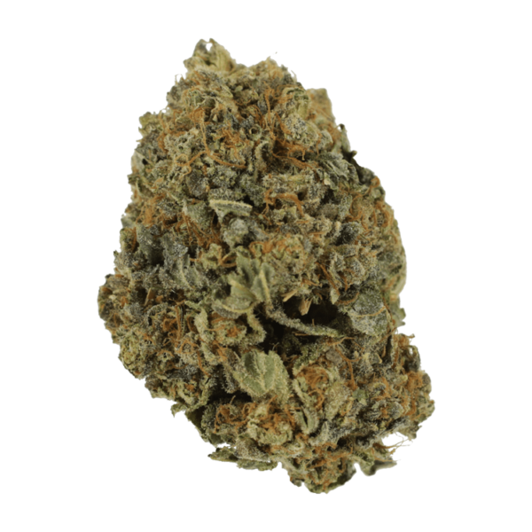 White Shark – 1 ounce | Canna Cabana Canada