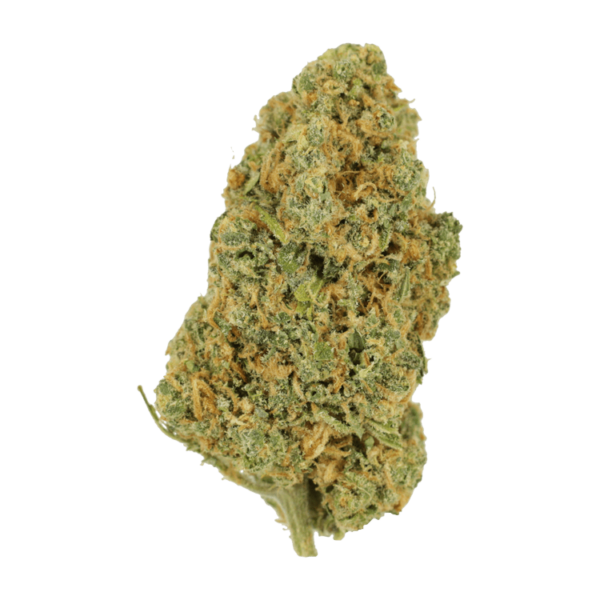 Lemon Bomb | Canna Cabana Canada