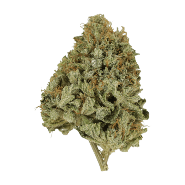 Pineapple Kush | Canna Cabana Canada