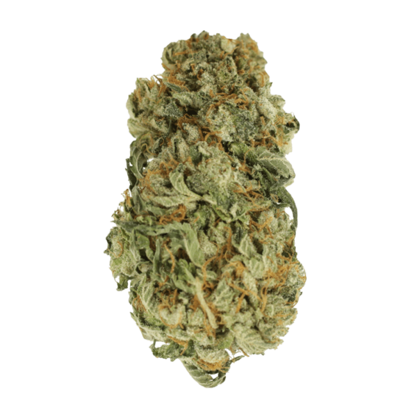 King Louis – 1 ounce | Canna Cabana Canada
