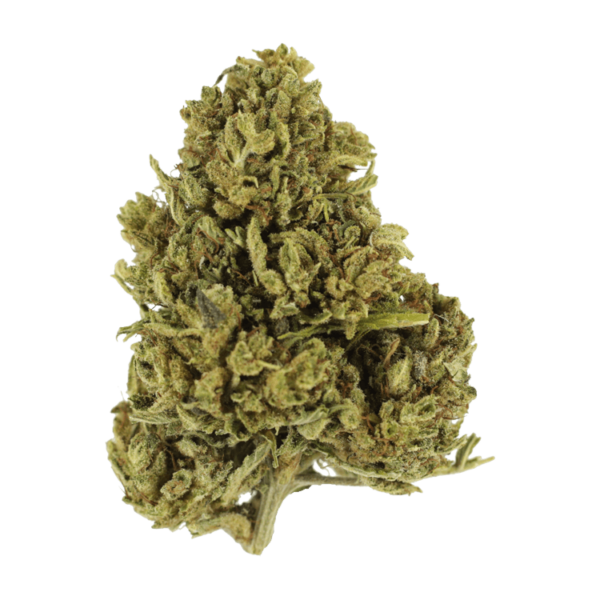 Cherry Wine (CBD) | Canna Cabana Canada