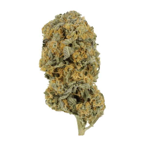 Sour Prince | Canna Cabana Canada