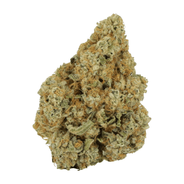 Black Cherry Punch | Canna Cabana Canada