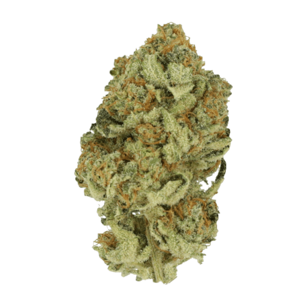 Black Cherry Punch | Canna Cabana Canada
