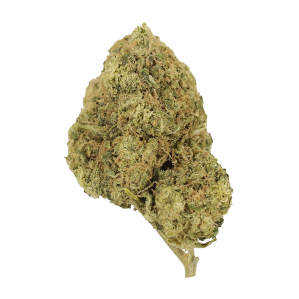 Mr Clean | Canna Cabana Canada