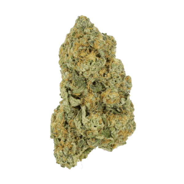 Black Cherry Punch | Canna Cabana Canada