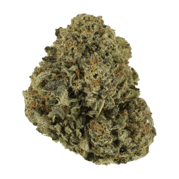 Blue Haze | Canna Cabana Canada