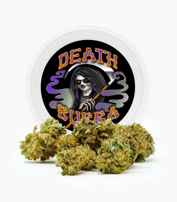 Westcoast Cali Tins – Premium Flower – Skywalker OG – 3.5g | Canna Cabana Canada