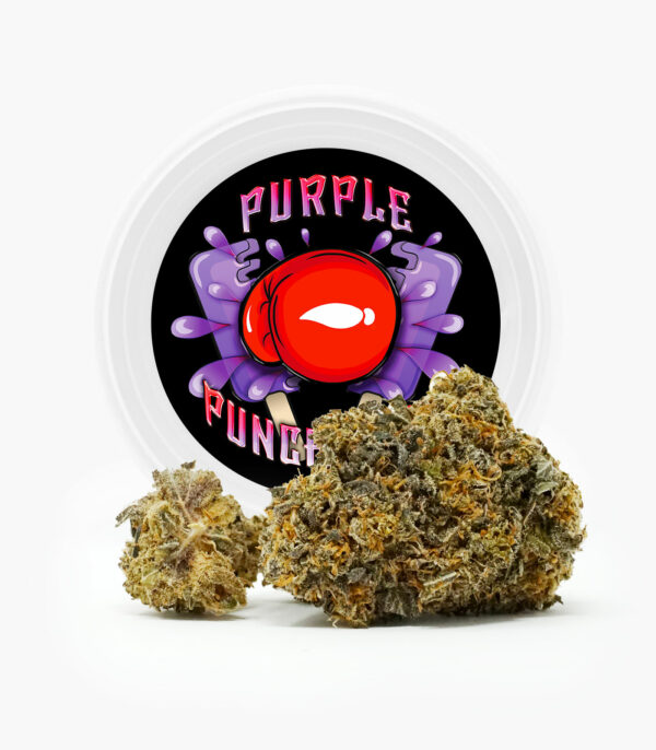 Westcoast Cali Tins – Premium Flower – Purple Punchsicle – 14g | Canna Cabana Canada