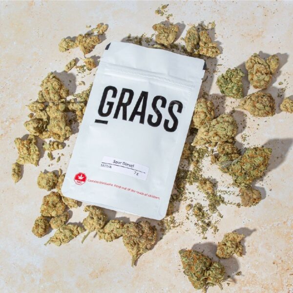 1/2OZ Sample Pack (AAA) – SAVE 20% | Canna Cabana Canada