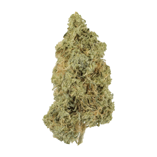 Tropicana Cookies | Canna Cabana Canada