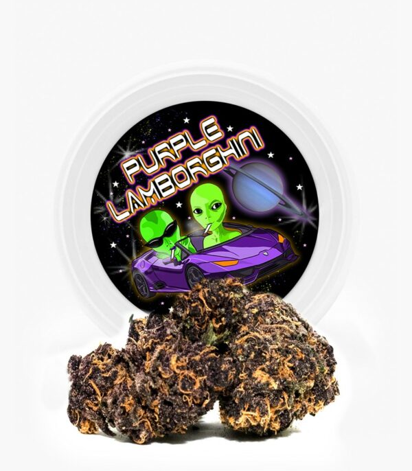 Westcoast Cali Tins – Premium Flower – Purple Lamborghini – 3.5g | Canna Cabana Canada