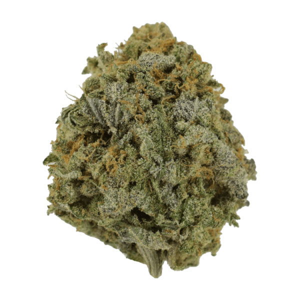 Pink Tuna (Popcorn) – $40/oz | Canna Cabana Canada
