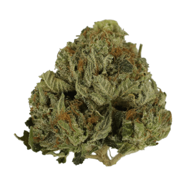 Pink Animal – 1 ounce | Canna Cabana Canada