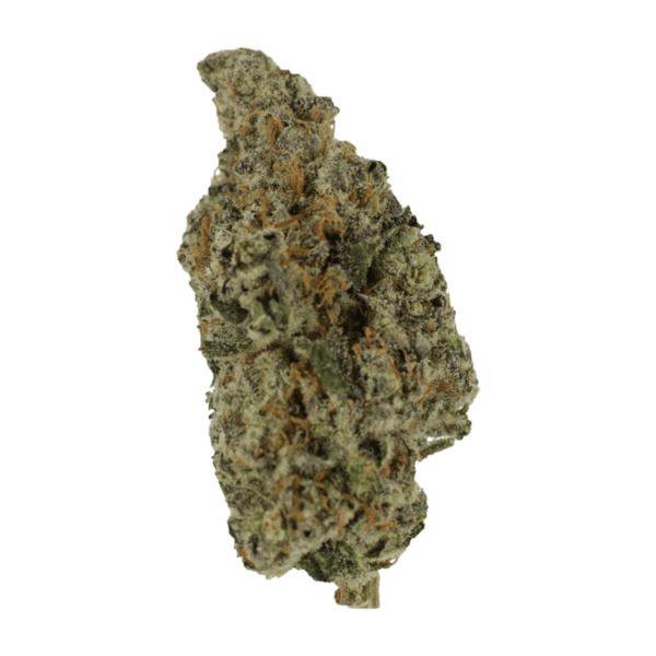 Biscotti Sundae | Canna Cabana Canada