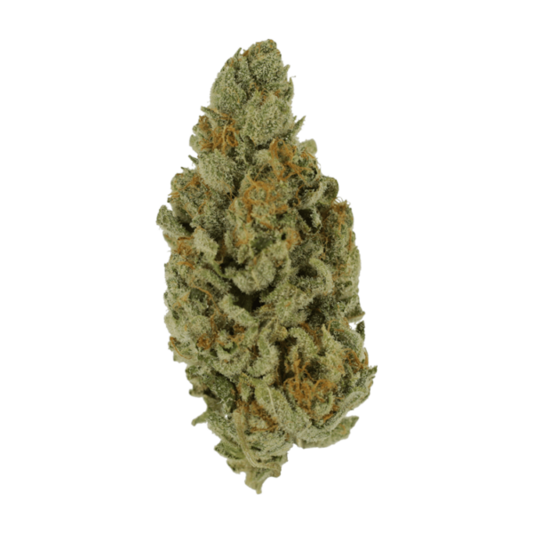 Captain Crunch | Canna Cabana Canada