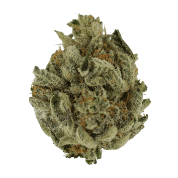 Biscotti Sundae | Canna Cabana Canada