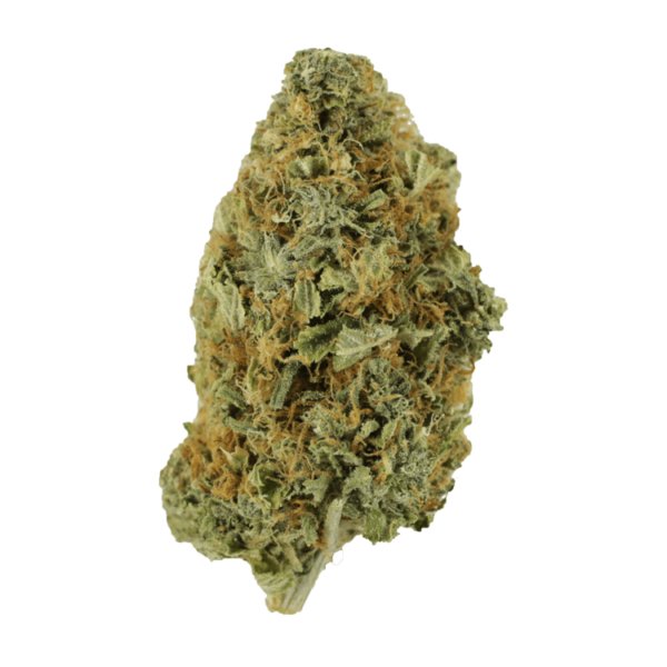 Purple Tuna – 1 ounce | Canna Cabana Canada