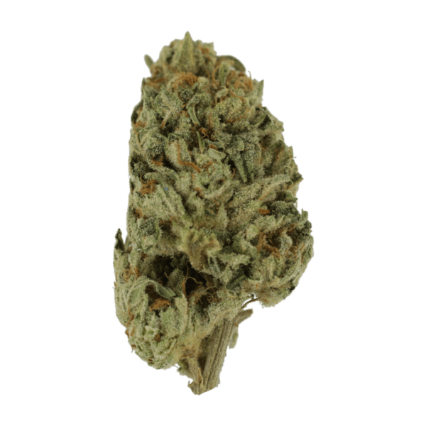 Biscotti Sundae | Canna Cabana Canada