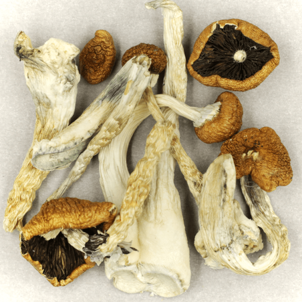 Treasure Coast | Canna Cabana Canada