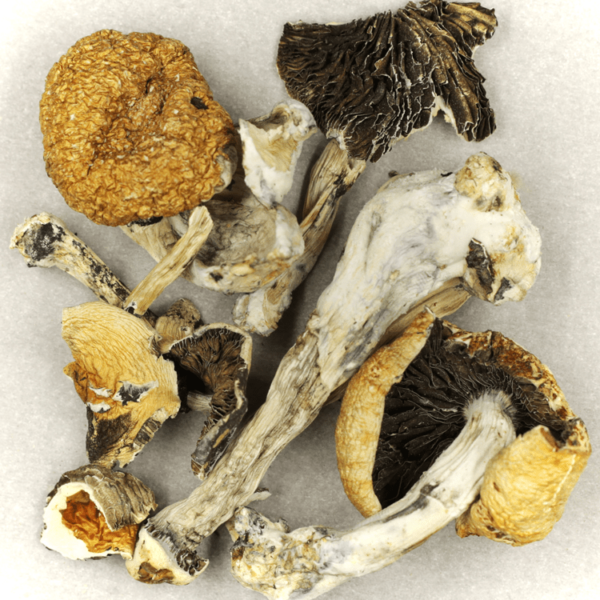 Treasure Coast | Canna Cabana Canada
