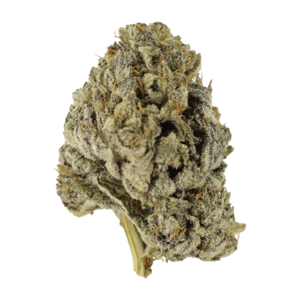 Sugar Pine | Canna Cabana Canada