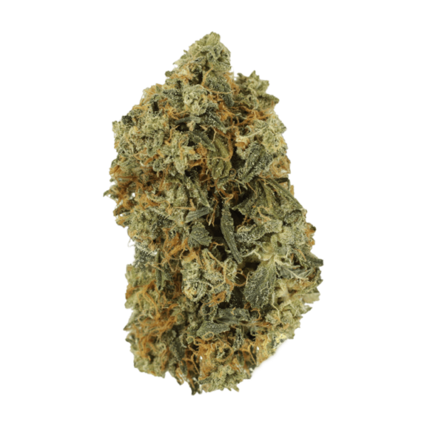 Blackwater | Canna Cabana Canada