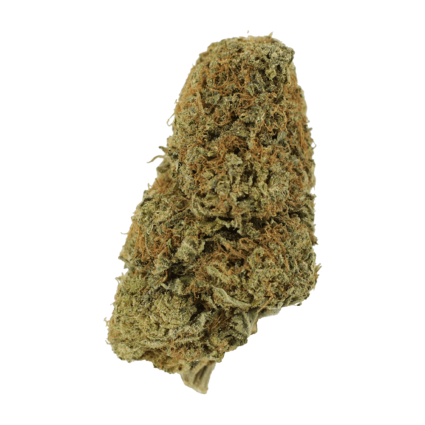 Sugar Pine | Canna Cabana Canada