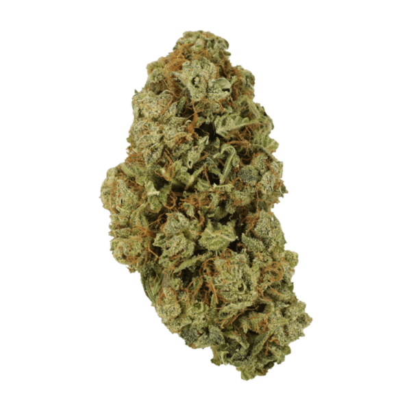 Sugar Pine | Canna Cabana Canada