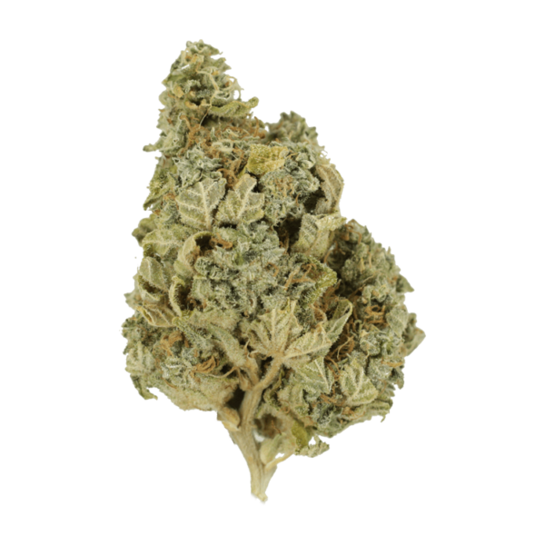 Khalifa Kush | Canna Cabana Canada