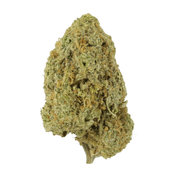 Sugar Pine | Canna Cabana Canada