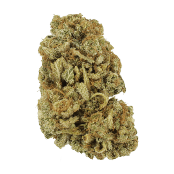 Blackwater | Canna Cabana Canada