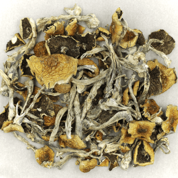 Florida White | Canna Cabana Canada