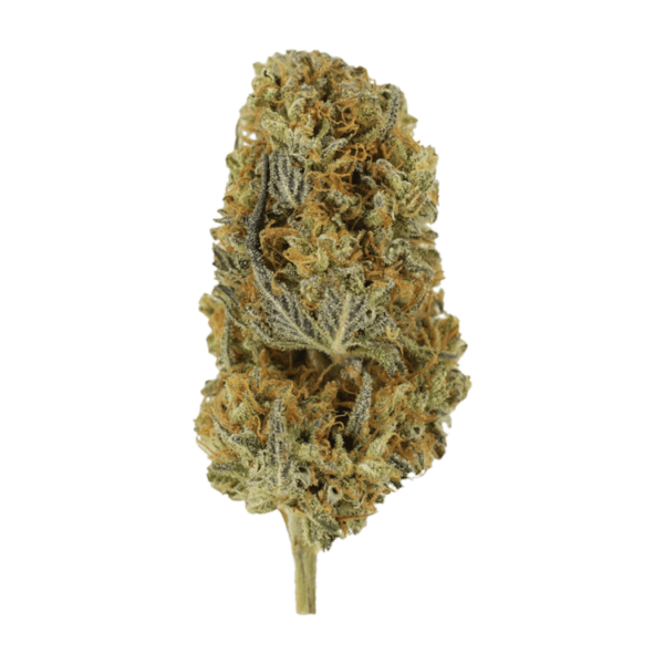 Headband | Canna Cabana Canada