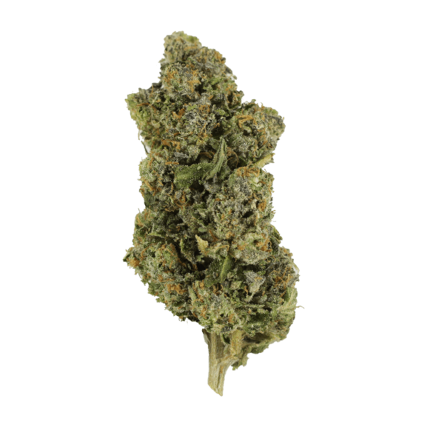 Jokerz | Canna Cabana Canada