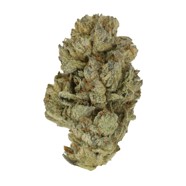 Pink Candy Kush | Canna Cabana Canada