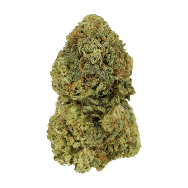 Critical Mass | Canna Cabana Canada