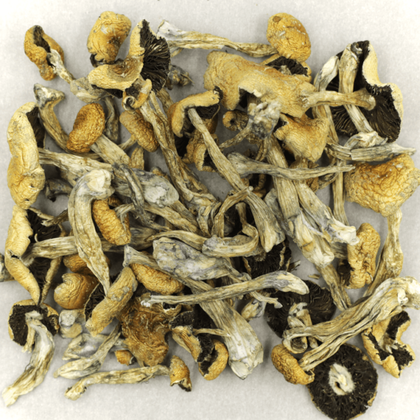 Puerto Rican | Canna Cabana Canada