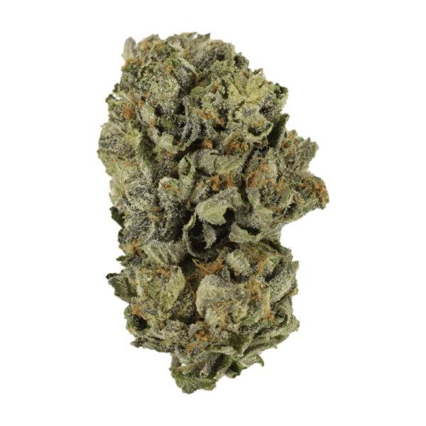 Cerebro Haze | Canna Cabana Canada