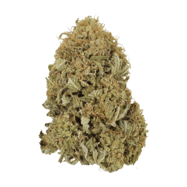 G13 | Canna Cabana Canada