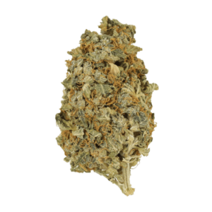 Mint Cookies | Canna Cabana Canada