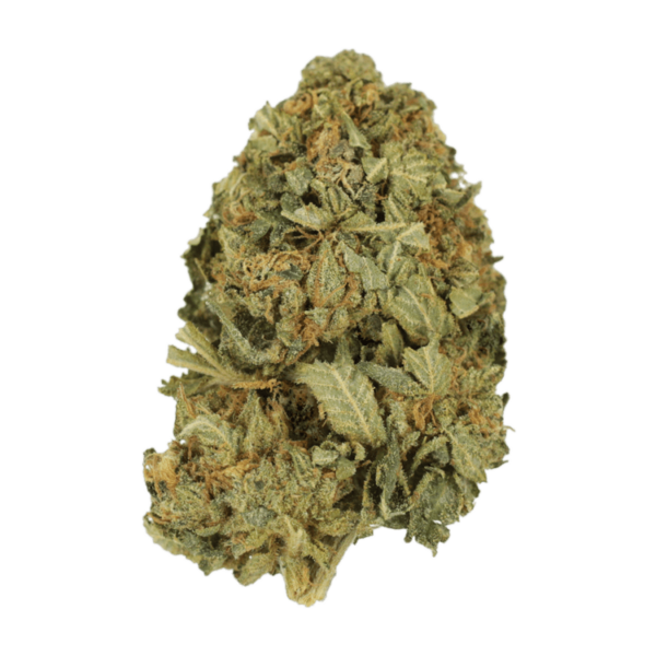 G13 | Canna Cabana Canada