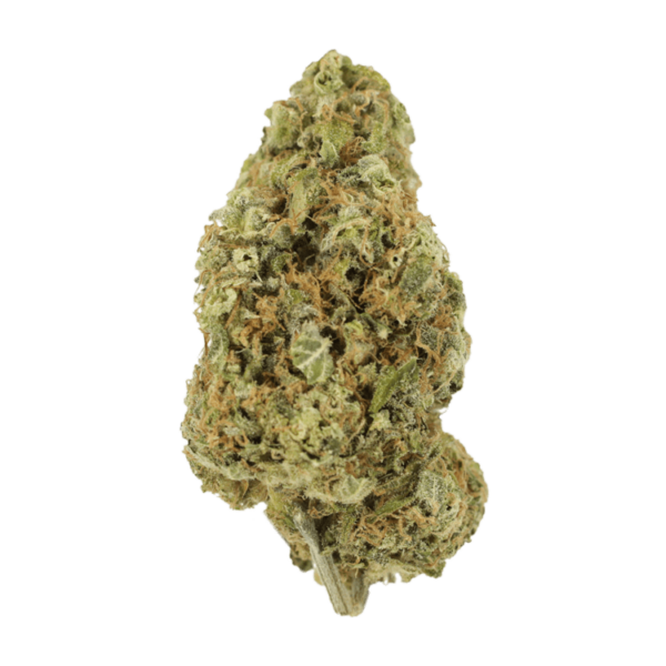 Sour Jack | Canna Cabana Canada