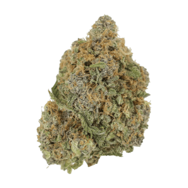 Jagermeister | Canna Cabana Canada