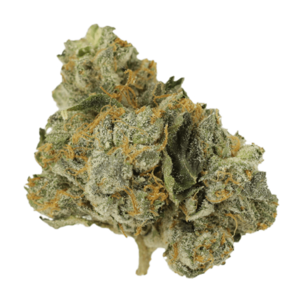 Mango Cream | Canna Cabana Canada