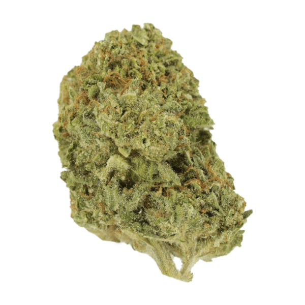 Mango Cream | Canna Cabana Canada